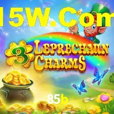 85b,85b.com