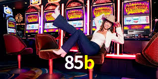 85b,85b.com